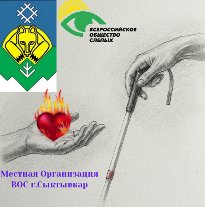 Сыктывкарская МО ВОС