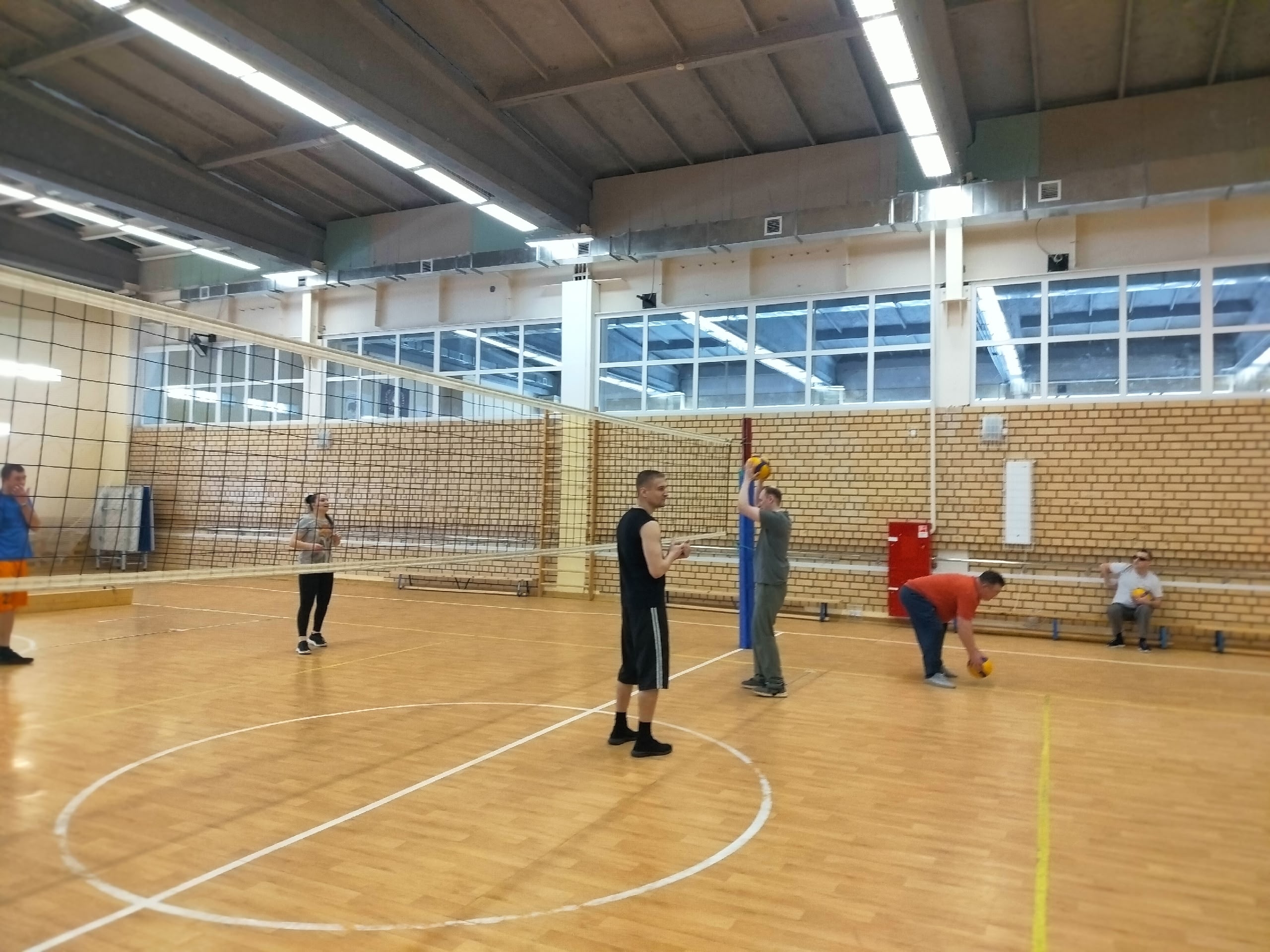 Мужчины и женщина на волейбольной площадке, один мужчина держит волейбольный мяч возле сетки.