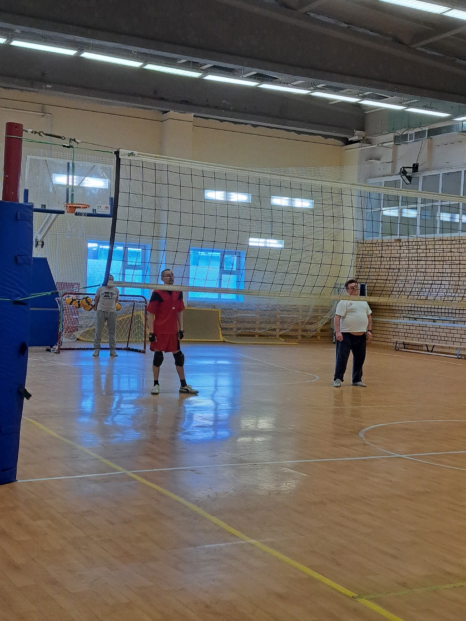 Группа спортсменов на волейбольной площадке.