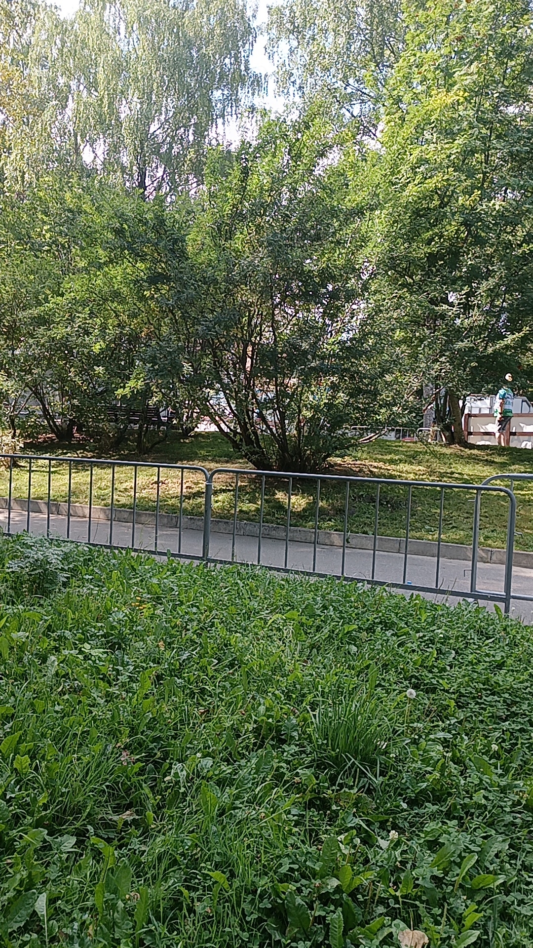 Металлическое ограждение вдоль асфальтированной дорожки в парке среди зеленых насаждений